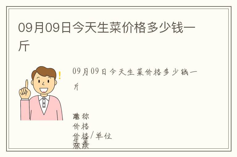 09月09日今天生菜價格多少錢一斤
