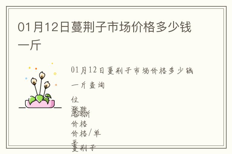01月12日蔓荊子市場價格多少錢一斤