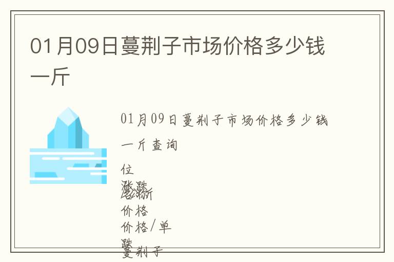 01月09日蔓荊子市場價格多少錢一斤