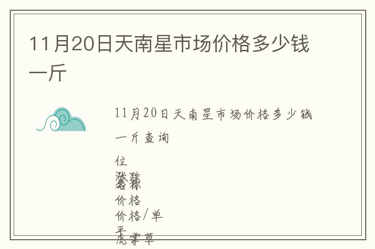 11月20日天南星市場價格多少錢一斤