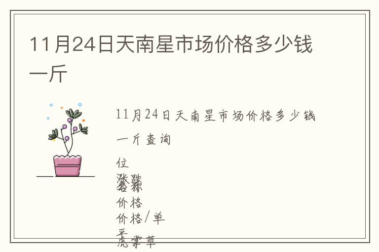 11月24日天南星市場(chǎng)價(jià)格多少錢一斤