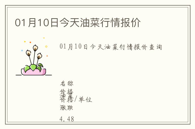 01月10日今天油菜行情報價
