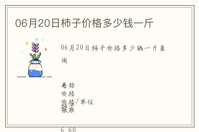 06月20日柿子價格多少錢一斤