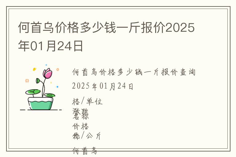 何首烏價格多少錢一斤報價2025年01月24日