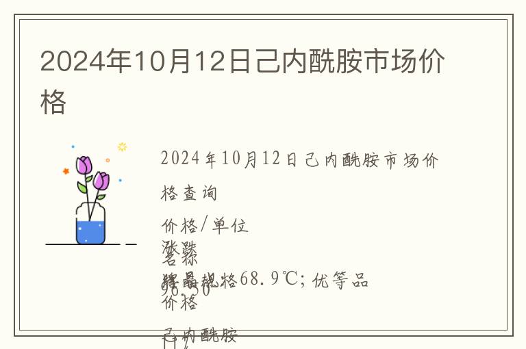 2024年10月12日己內(nèi)酰胺市場(chǎng)價(jià)格