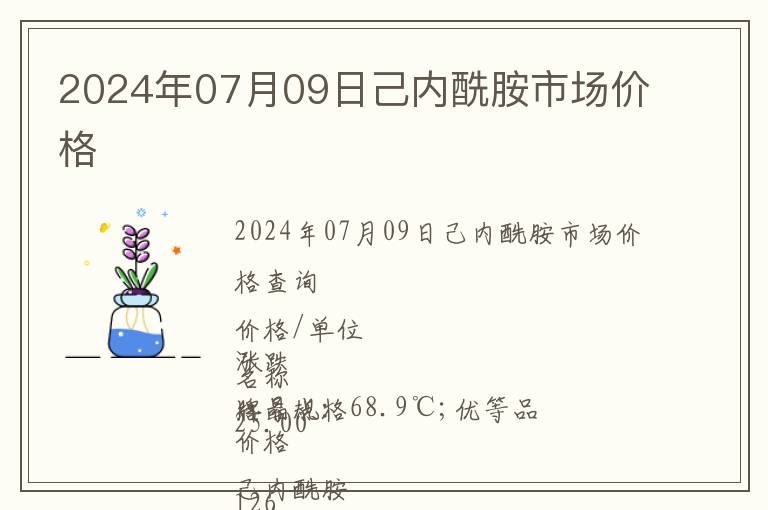2024年07月09日己內(nèi)酰胺市場(chǎng)價(jià)格