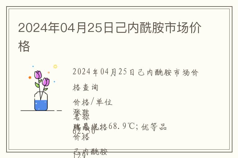 2024年04月25日己內酰胺市場價格