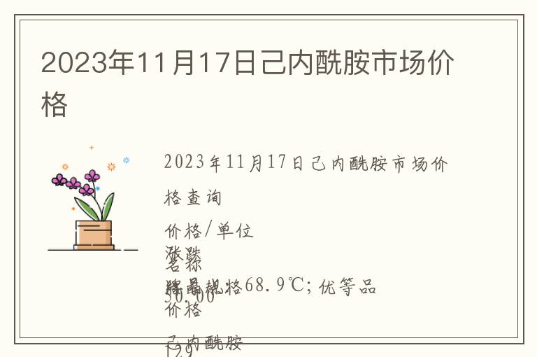 2023年11月17日己內酰胺市場價格