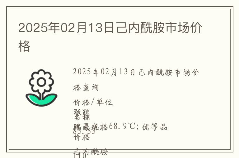 2025年02月13日己內酰胺市場價格
