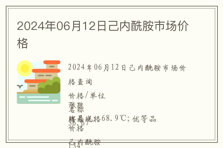 2024年06月12日己內酰胺市場價格