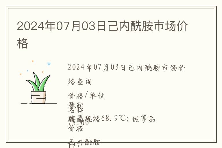 2024年07月03日己內酰胺市場價格