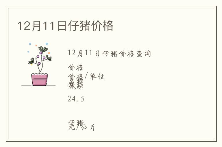 12月11日仔豬價格
