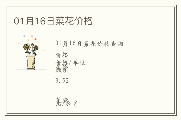 01月16日菜花價格