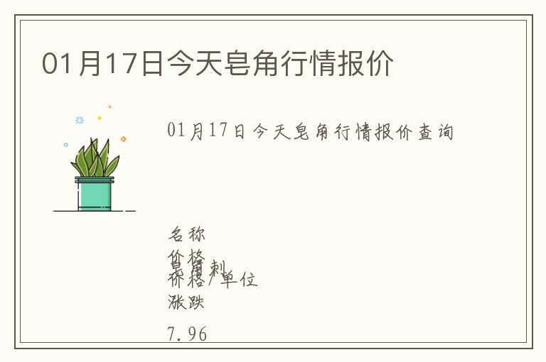 01月17日今天皂角行情報價